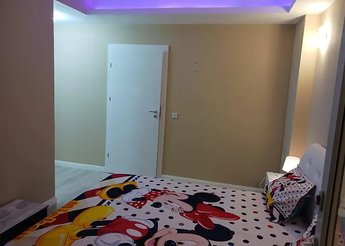 Myky Mouse Nu Primesc Santieristi Si Petrecareti