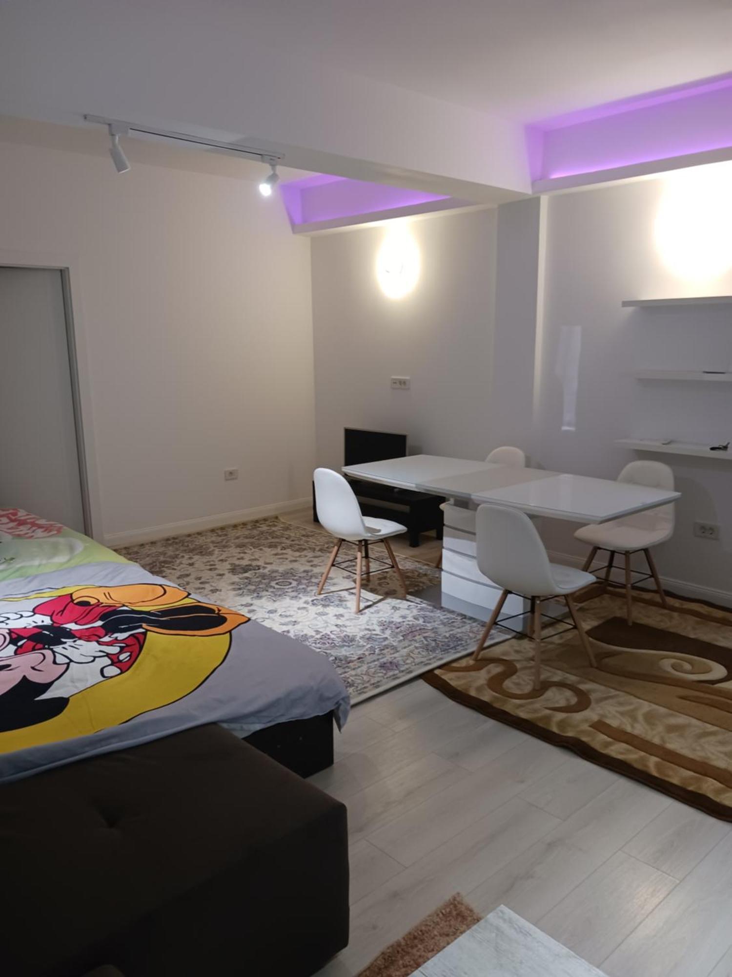 Appartement Myky Mouse Nu Primesc Santieristi Si Petrecareti *