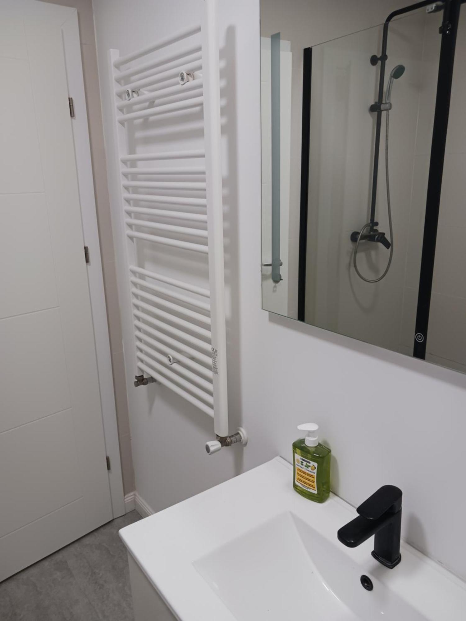 Myky Mouse Nu Primesc Santieristi Si Petrecareti Appartement