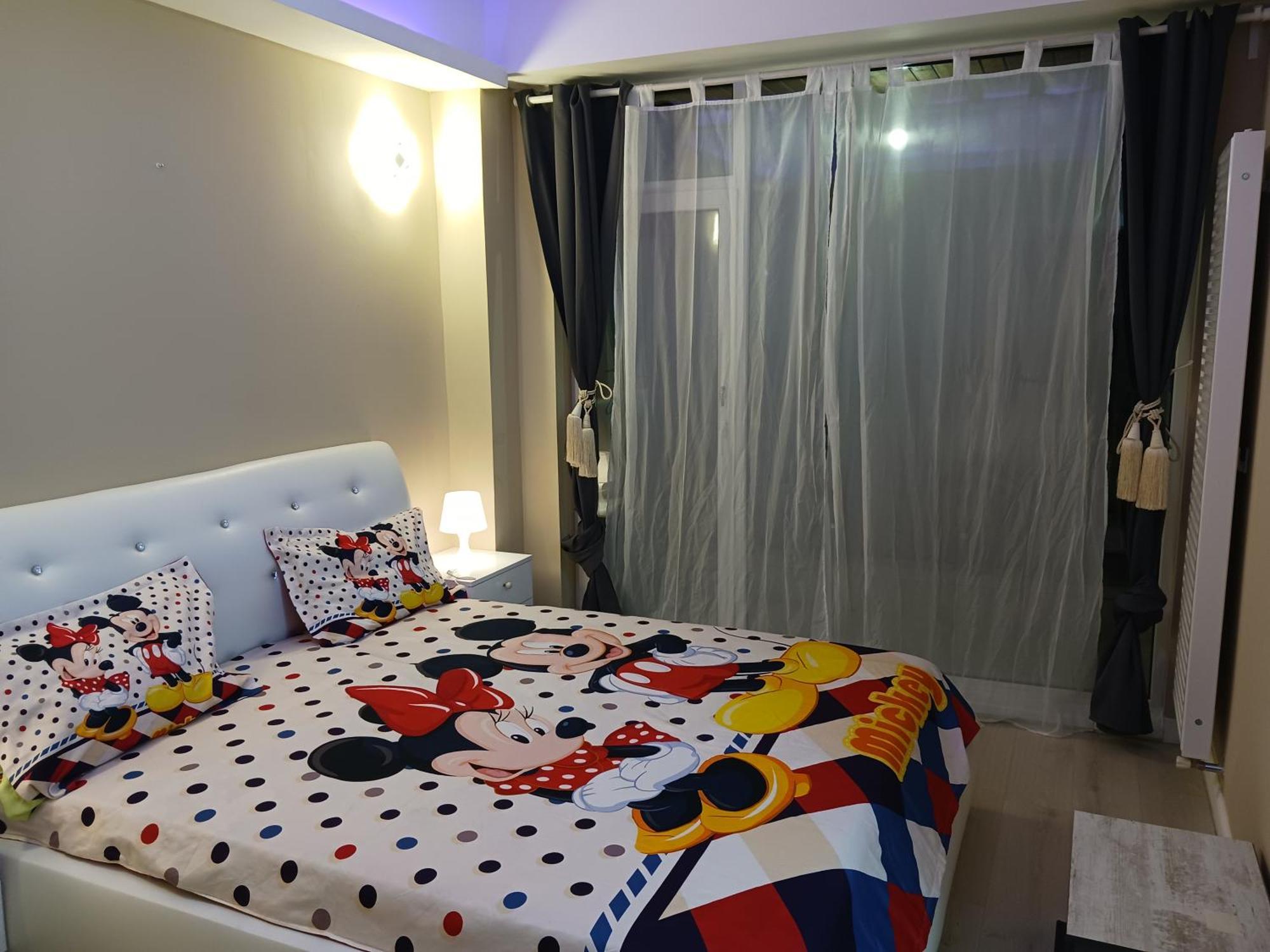 Myky Mouse Nu Primesc Santieristi Si Petrecareti Appartement *