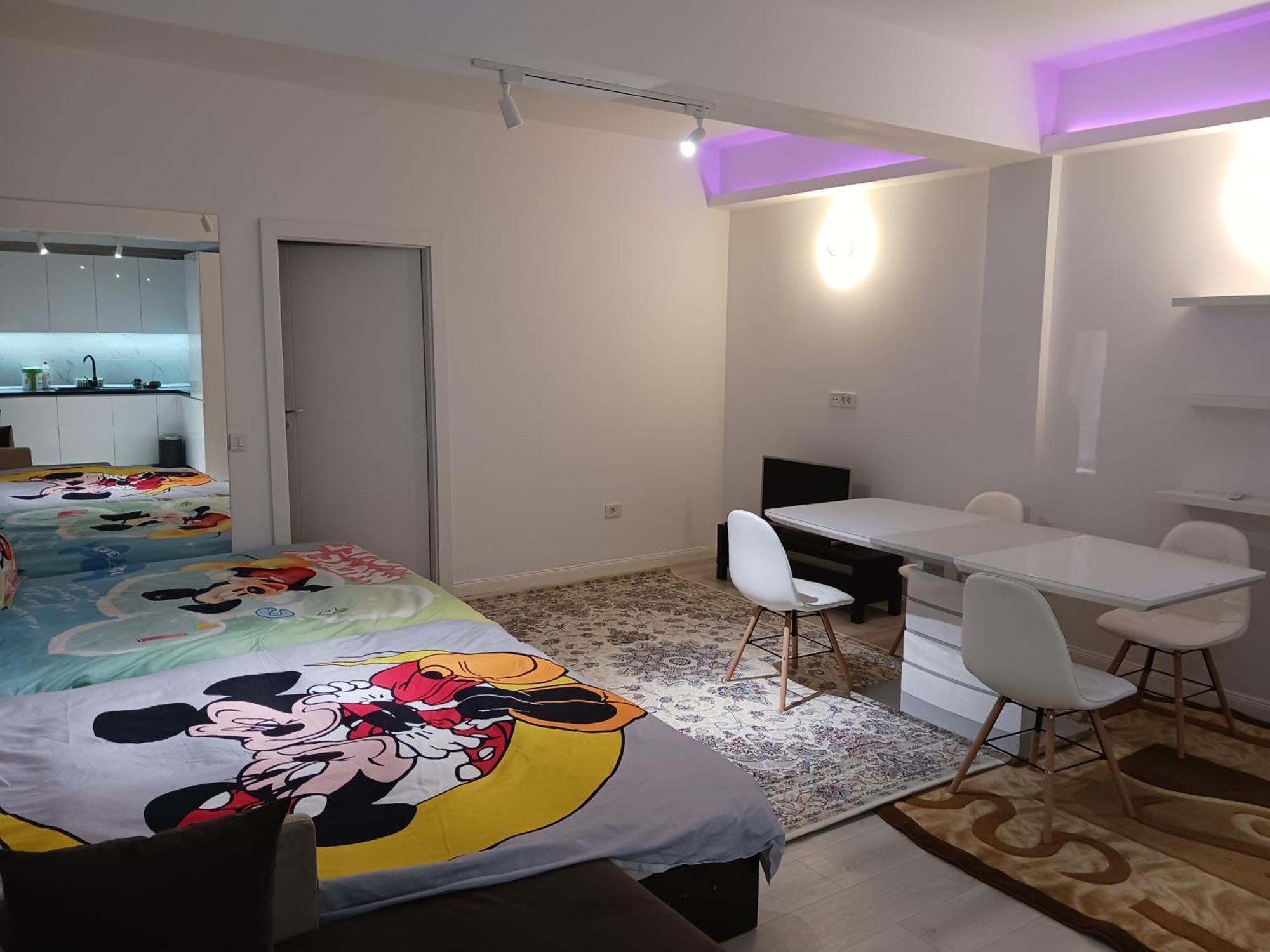 Appartement Myky Mouse Nu Primesc Santieristi Si Petrecareti Bucarest